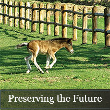 Preserving the Future